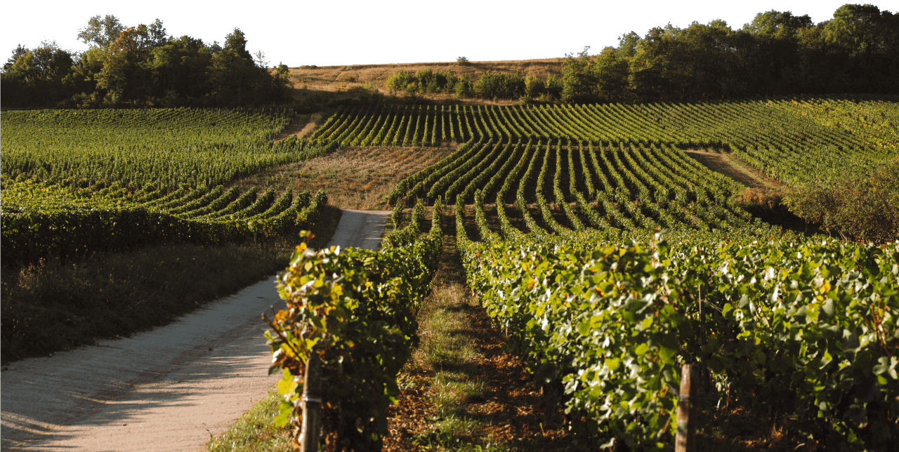 Domaine Hubert Brochard