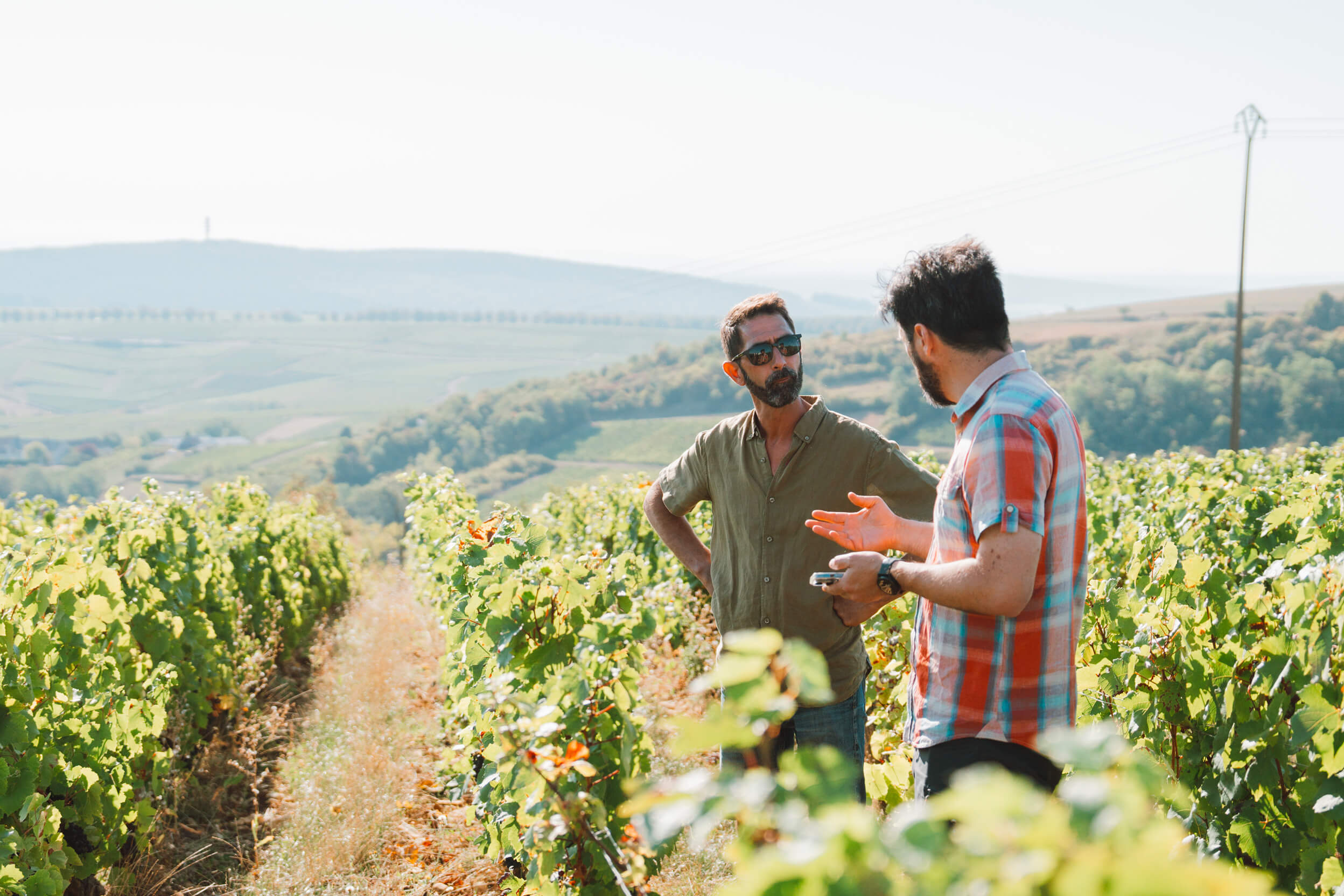 Matthieu Franchini - Hubert Brochard