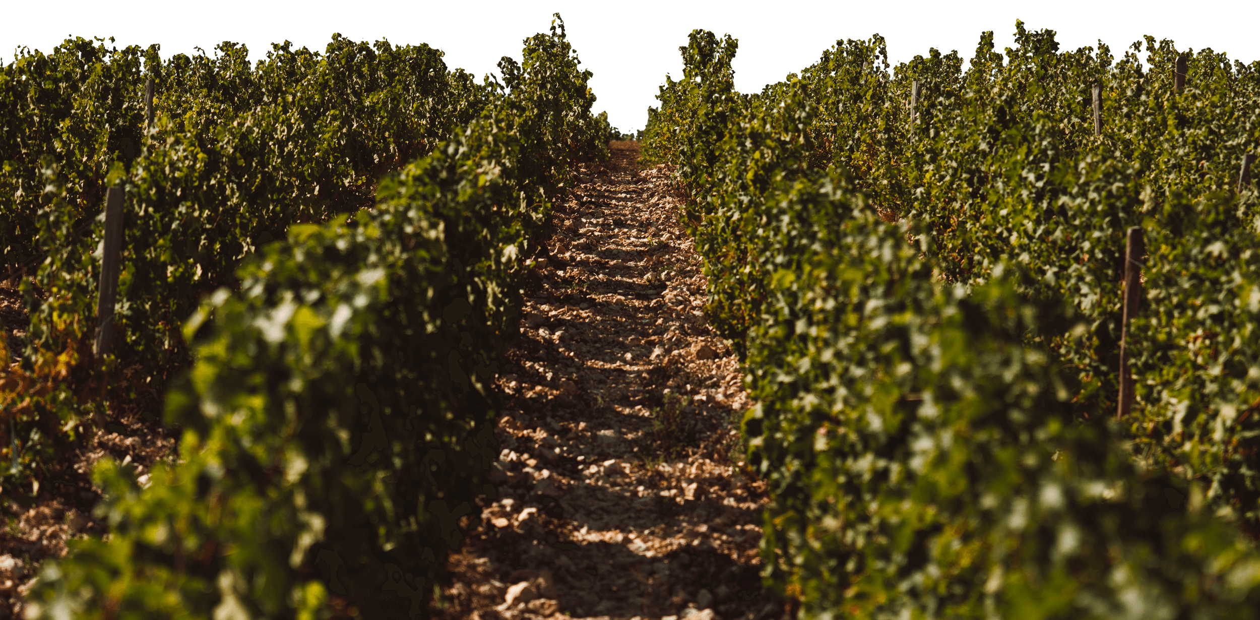 Château de Fontaine-Audon – Terres de Silex - Domaine Hubert Brochard