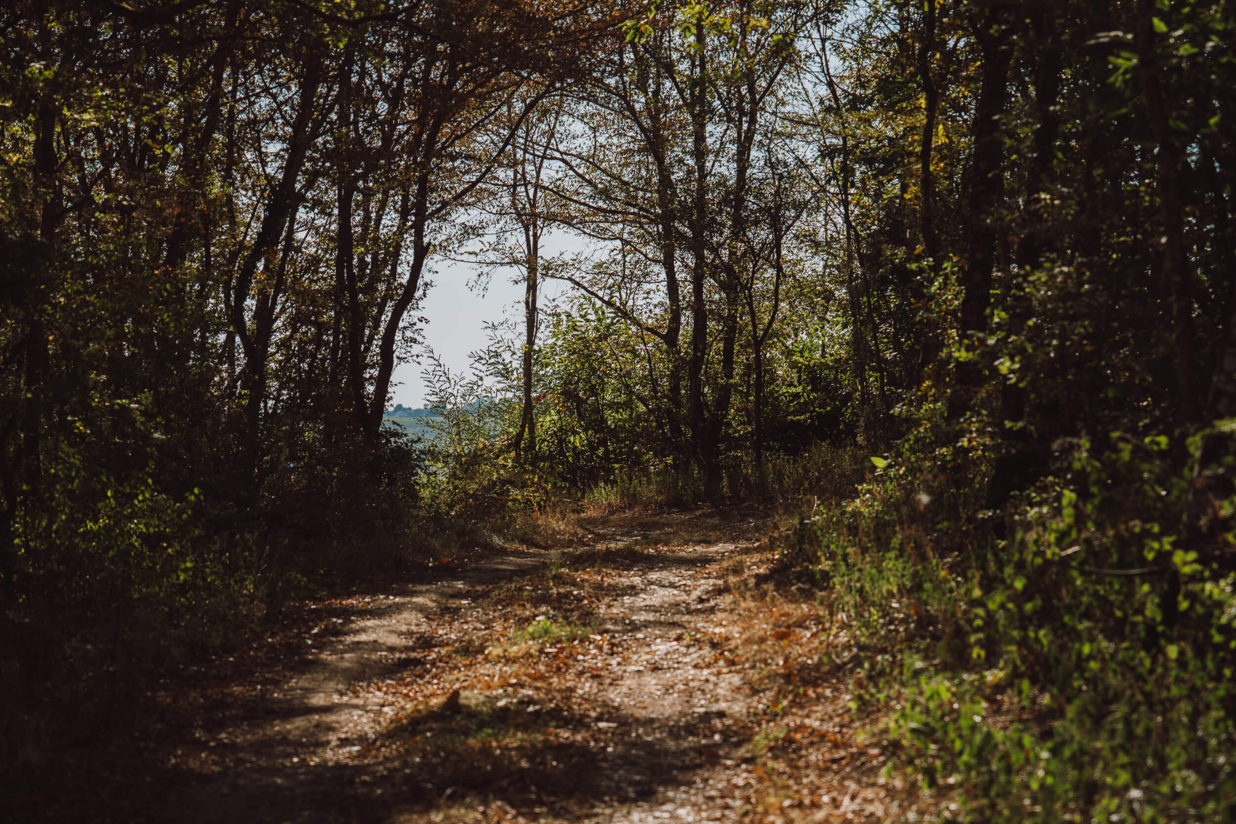 Château de Fontaine-Audon – Terres de Silex - Domaine Hubert Brochard