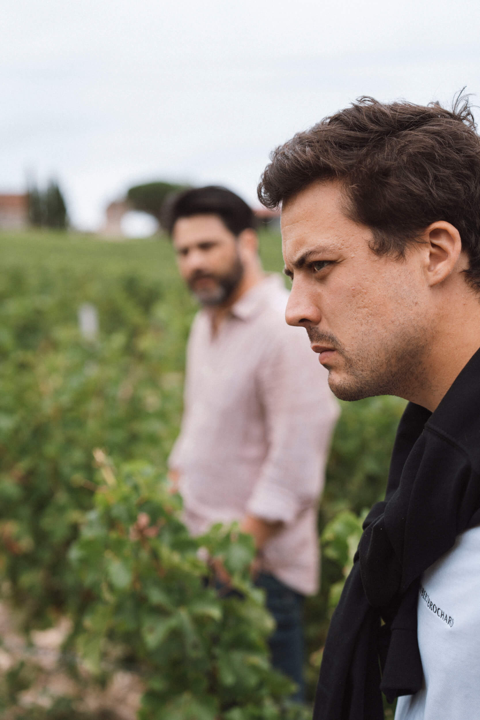 Charles de Truchis - Domaine Hubert Brochard