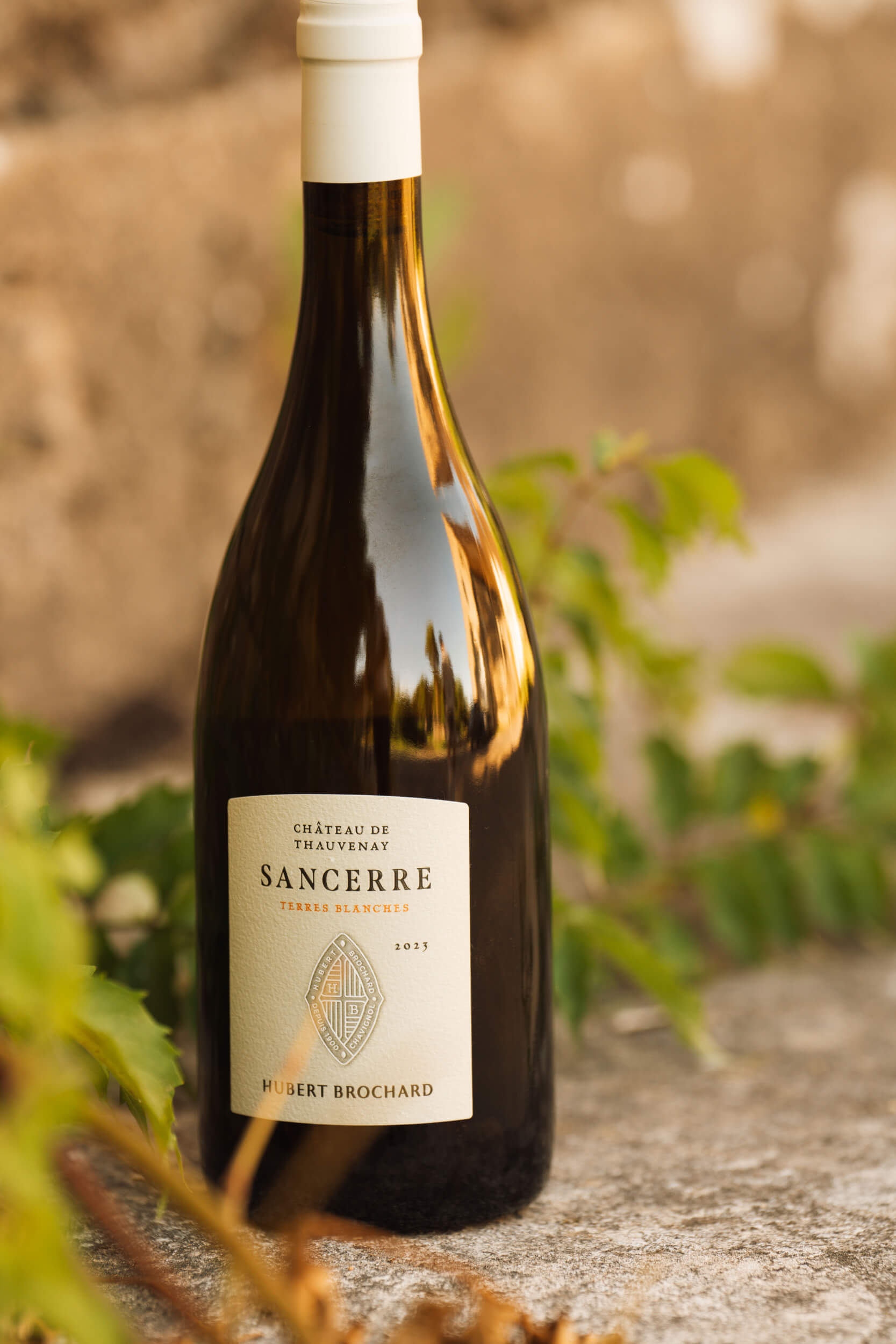 Château de Thauvenay – Terres Blanches - Hubert Brochard