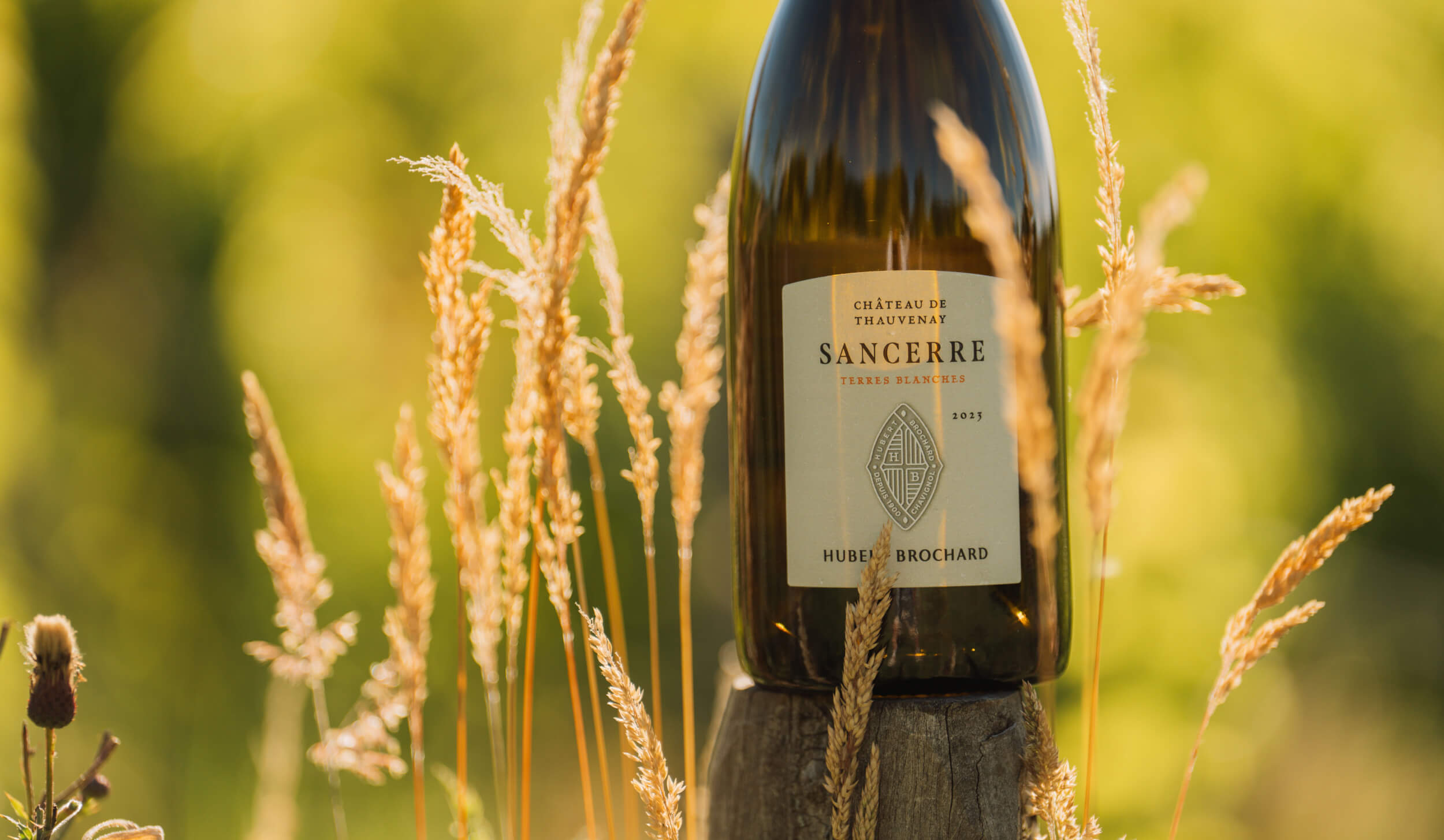 Château de Thauvenay – Terres Blanches - Hubert Brochard