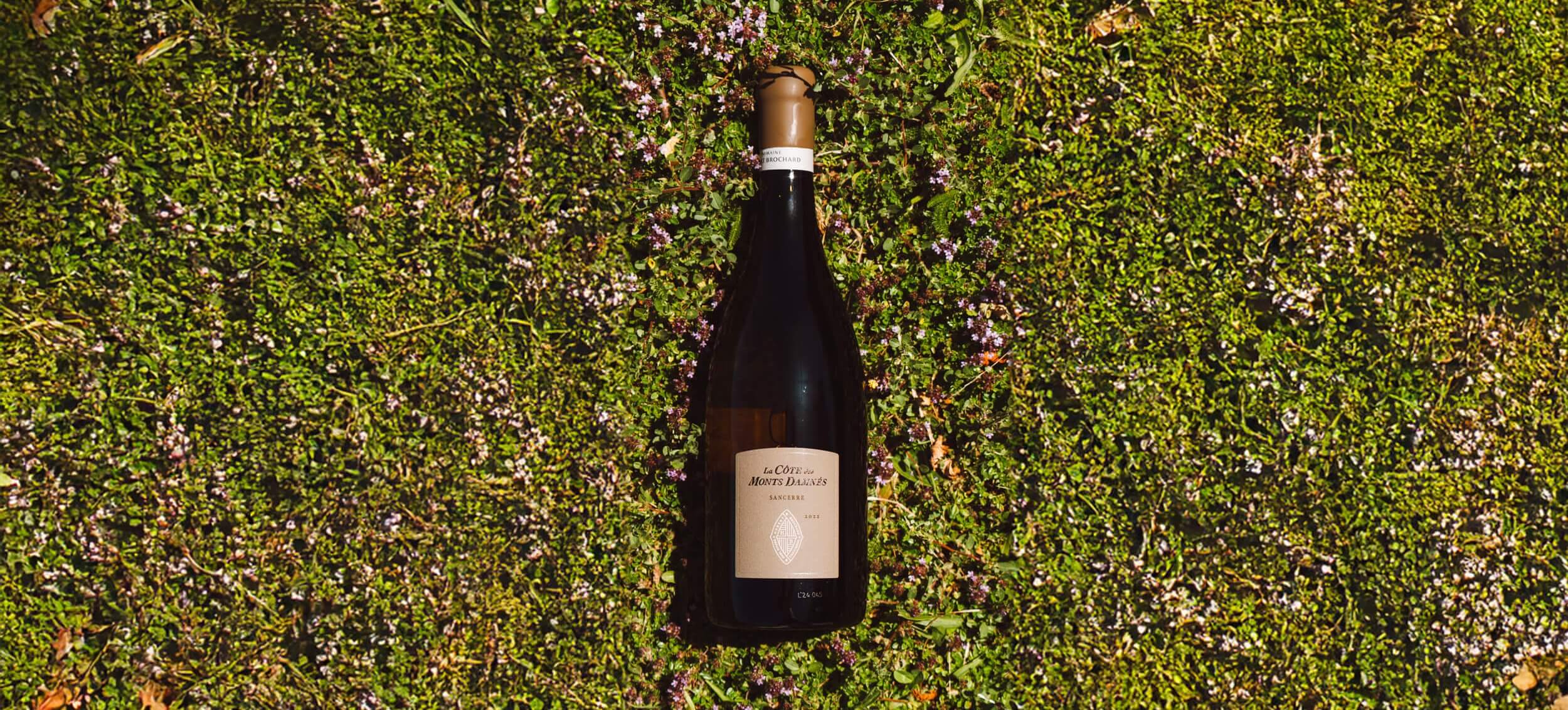 Quand le Domaine Hubert Brochard s’invite à la Cité du Vin - Domaine Hubert Brochard