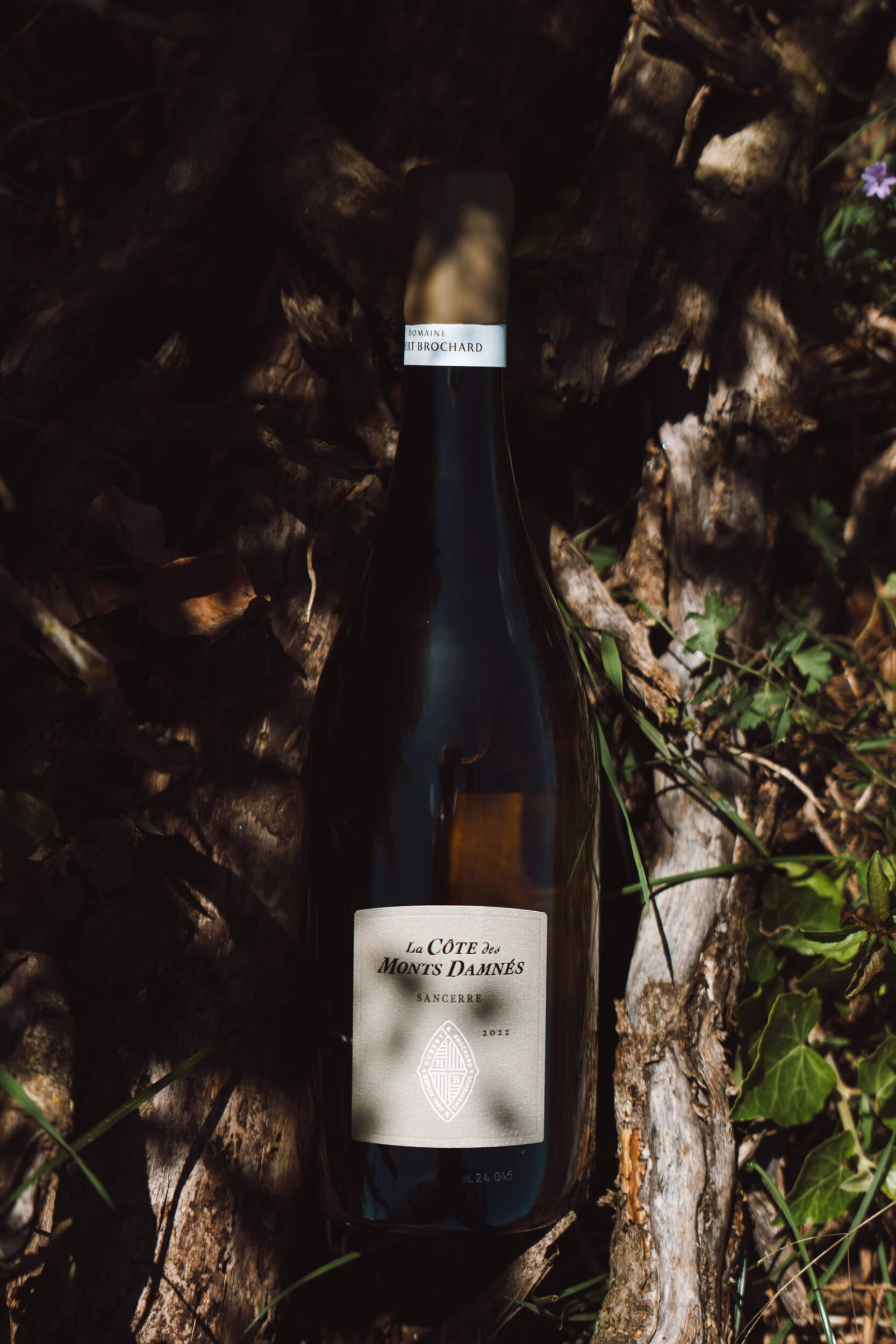 Les Monts Damnés - Hubert Brochard