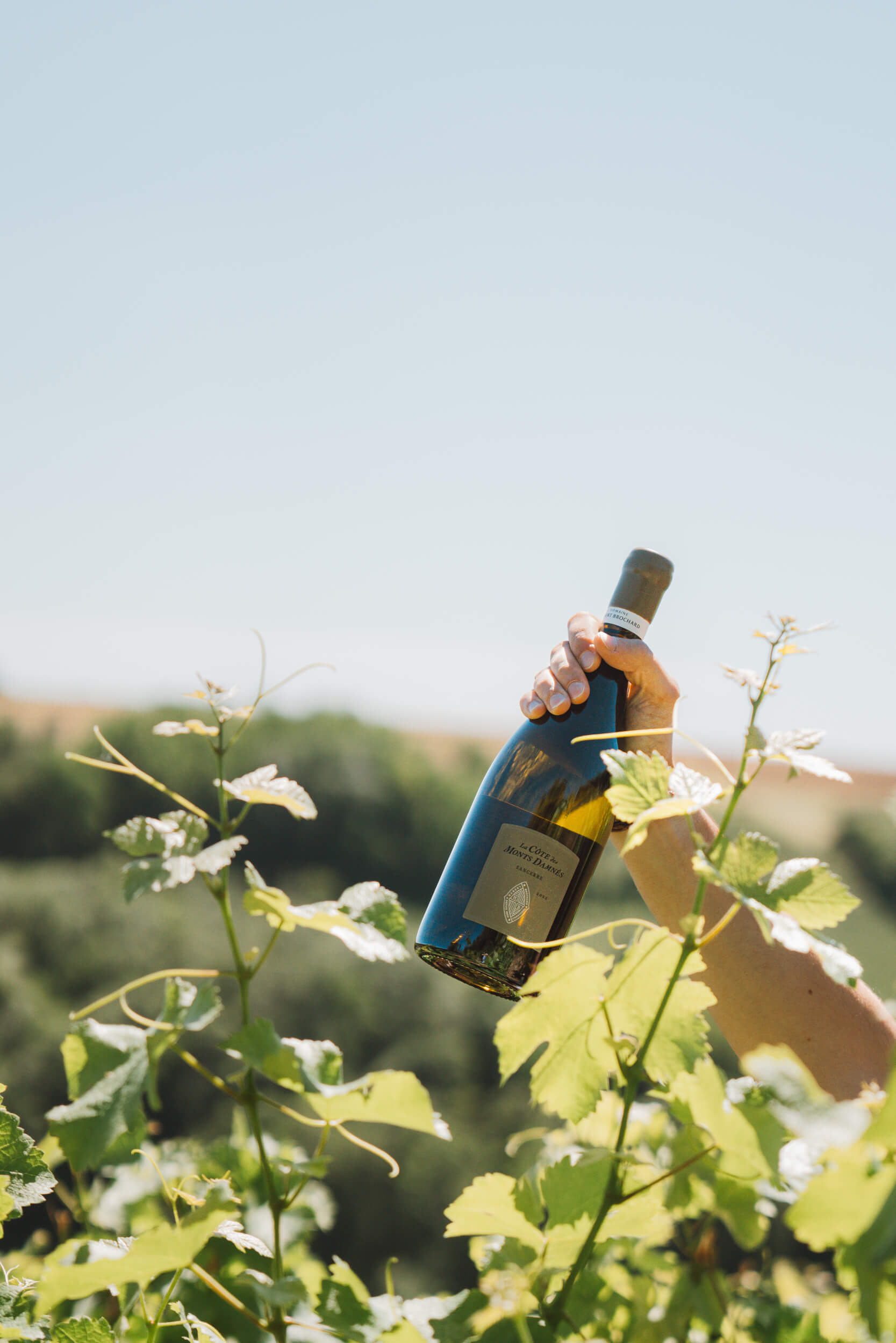 Quand le Domaine Hubert Brochard s’invite à la Cité du Vin - Domaine Hubert Brochard