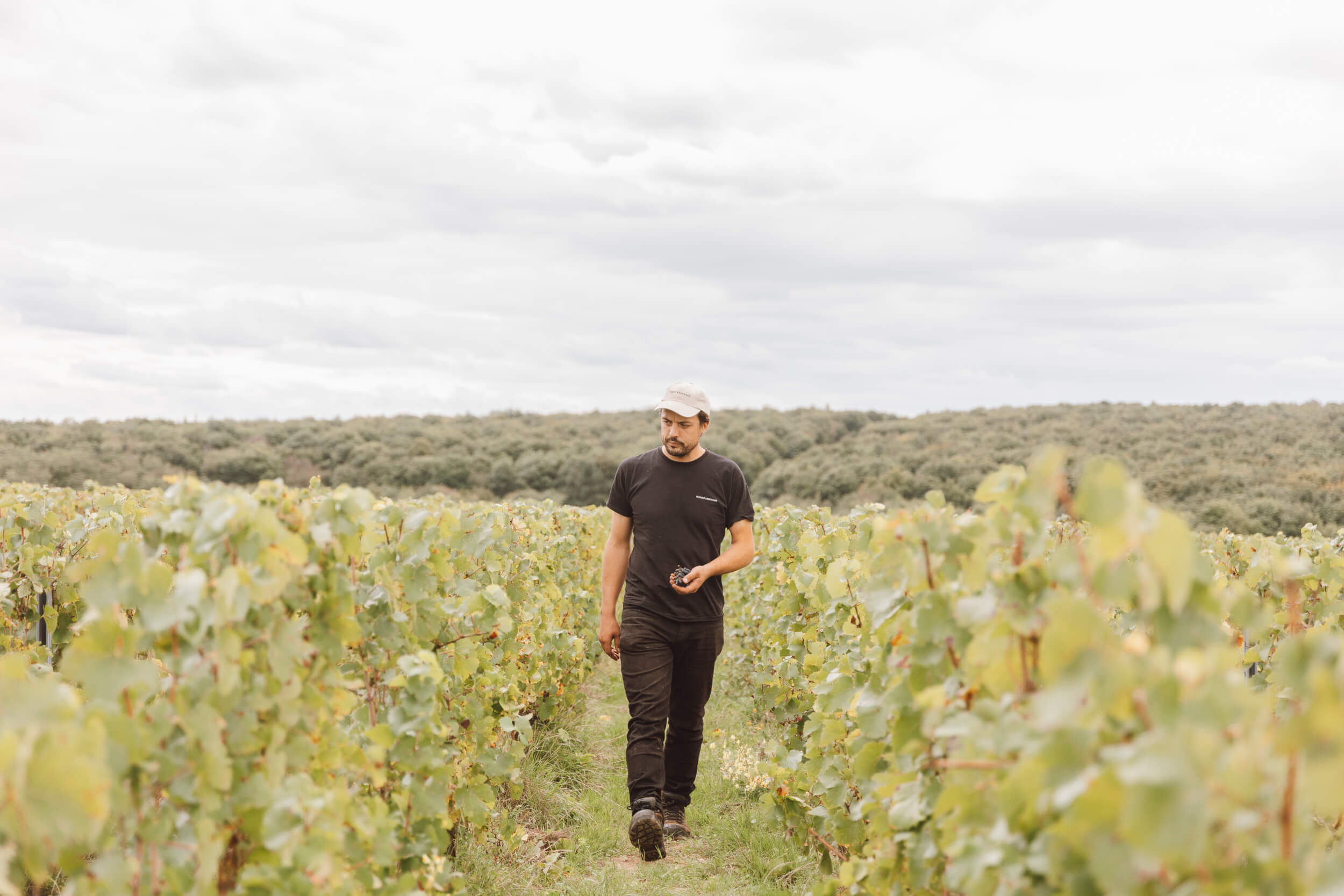 Charles de Truchis - Domaine Hubert Brochard