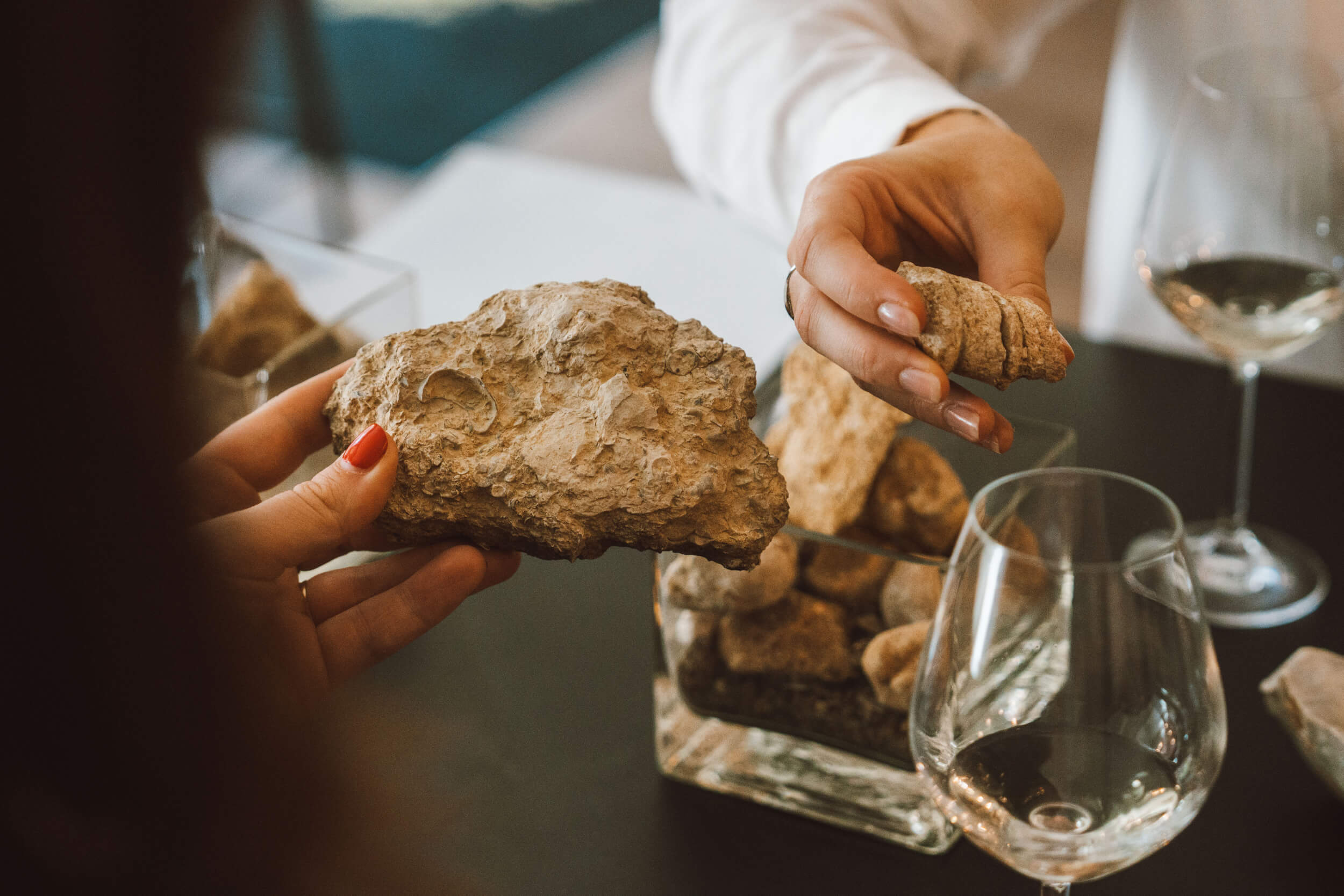 Hubert brochard - Domaine Hubert Brochard