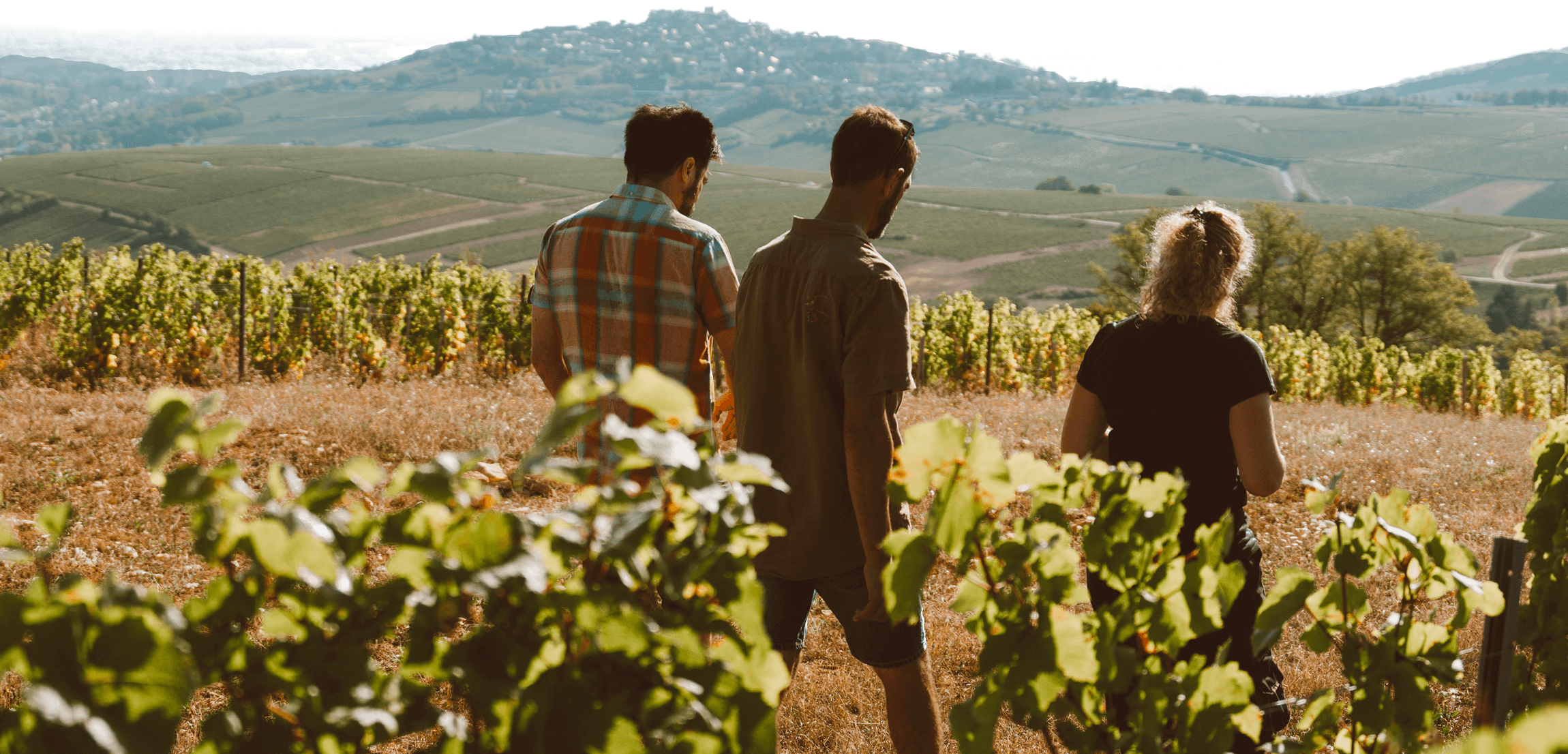 Hubert brochard - Domaine Hubert Brochard