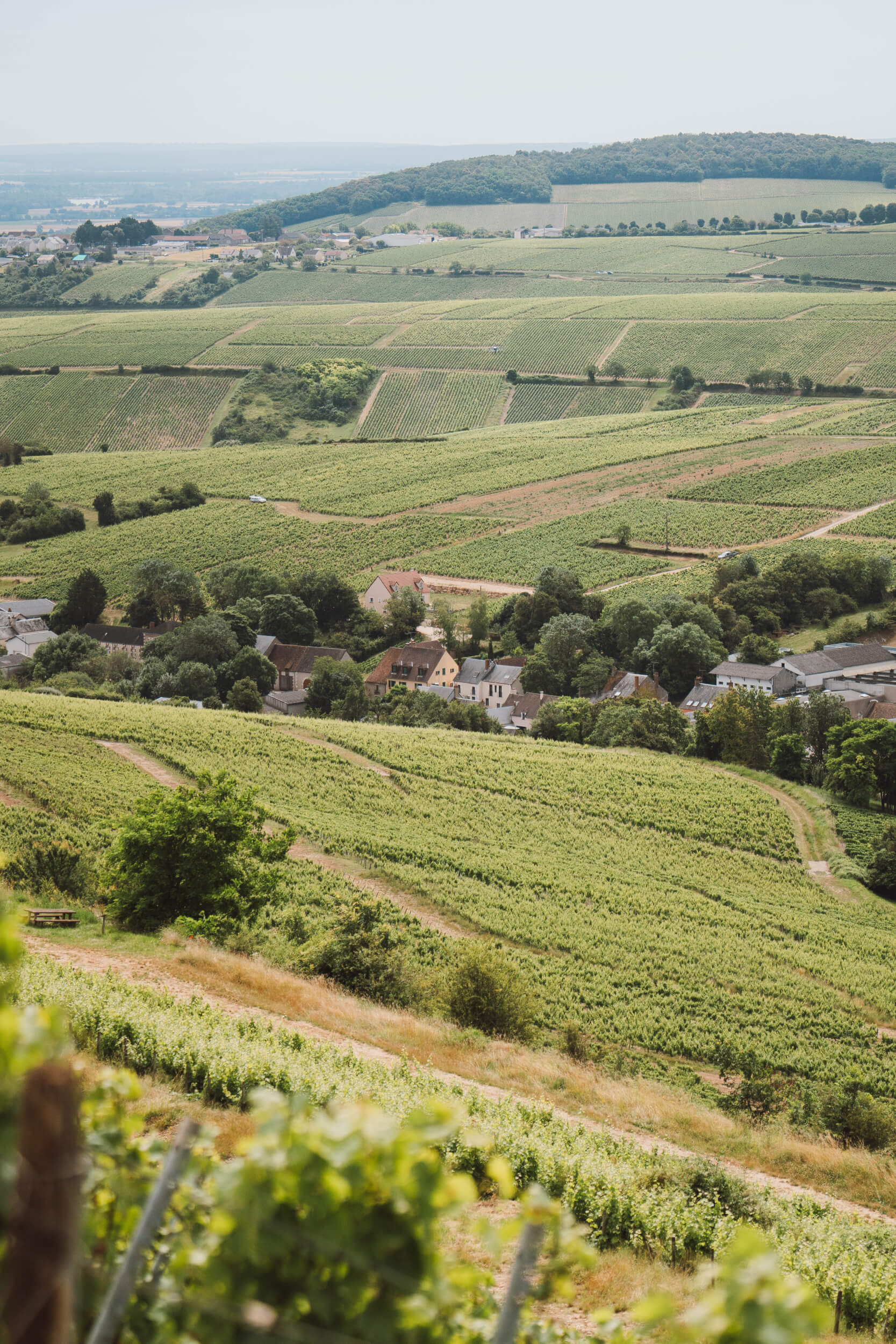 Hubert brochard - Domaine Hubert Brochard