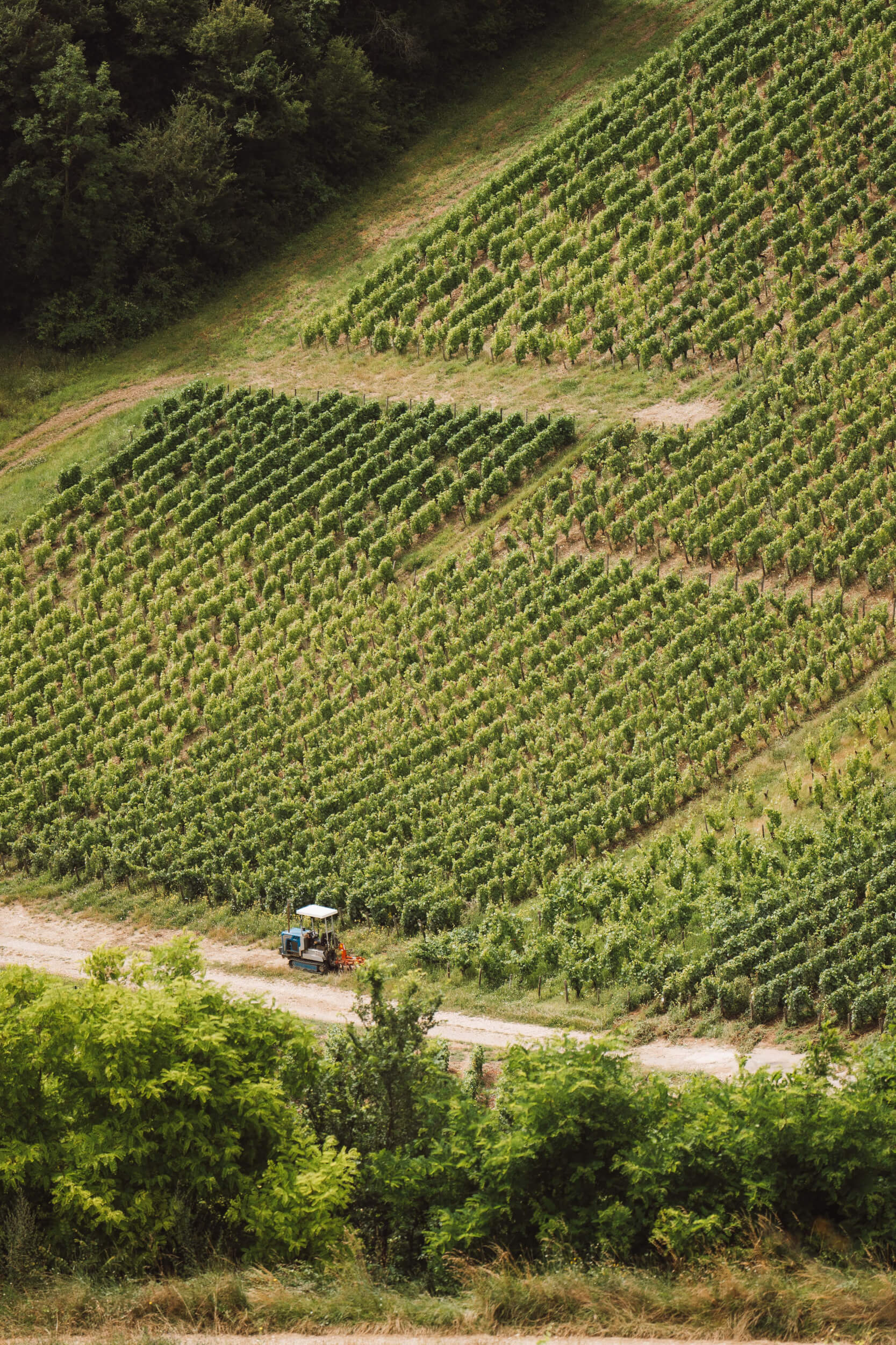 Our Terroirs - Hubert Brochard
