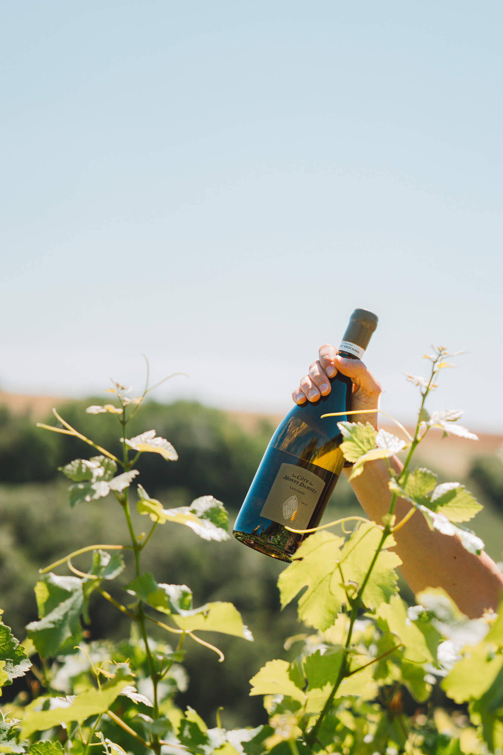 Notre écosystème - Domaine Hubert Brochard