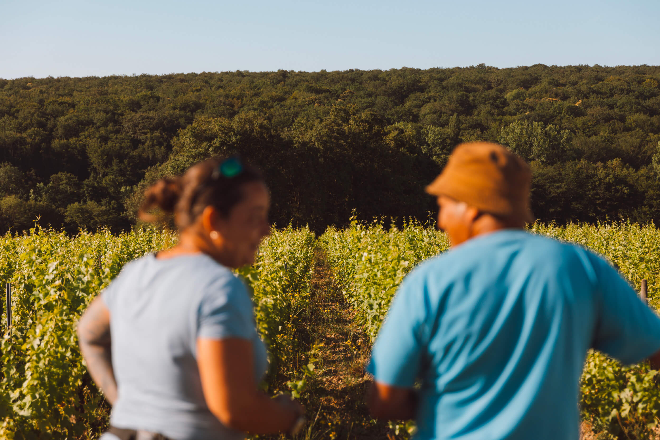 Notre équipe - Domaine Hubert Brochard