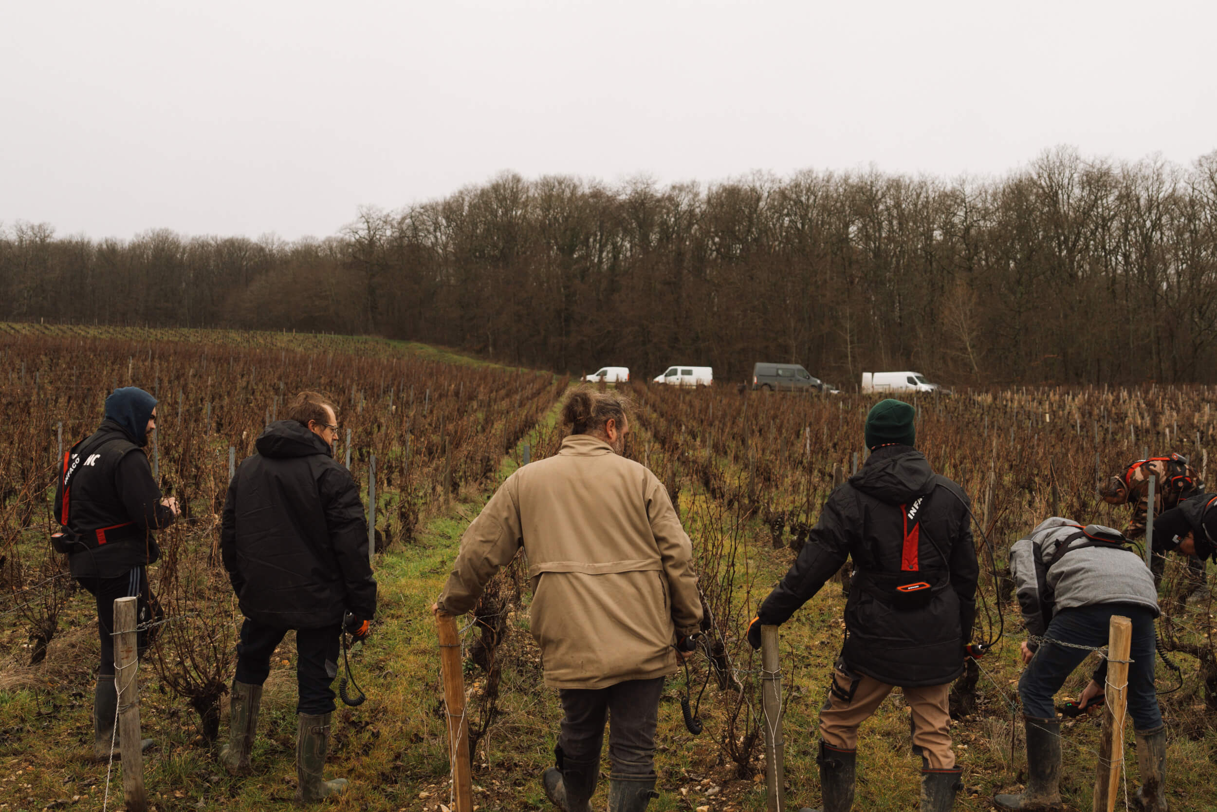 Notre Domaine - Domaine Hubert Brochard