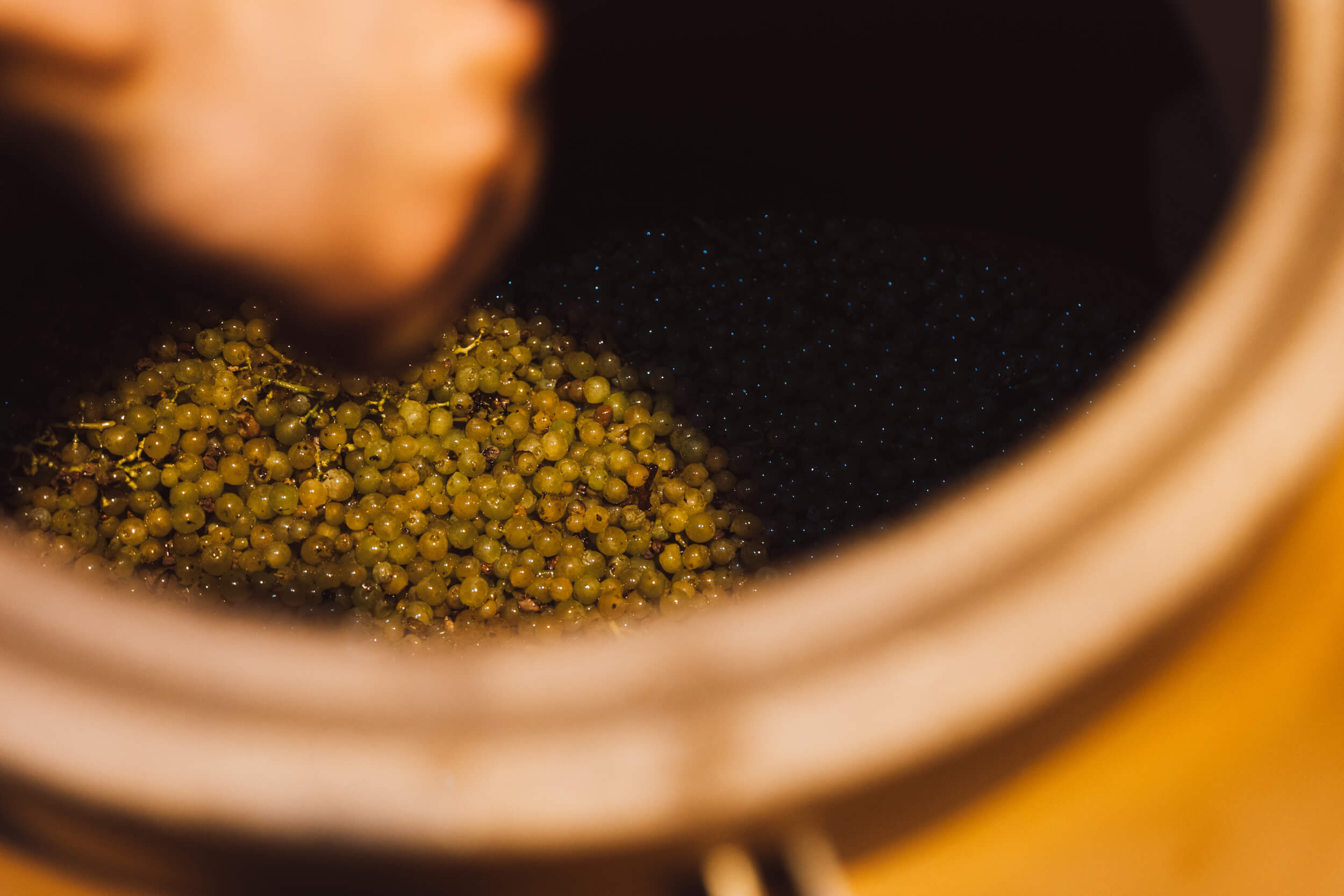 Notre signature - Domaine Hubert Brochard