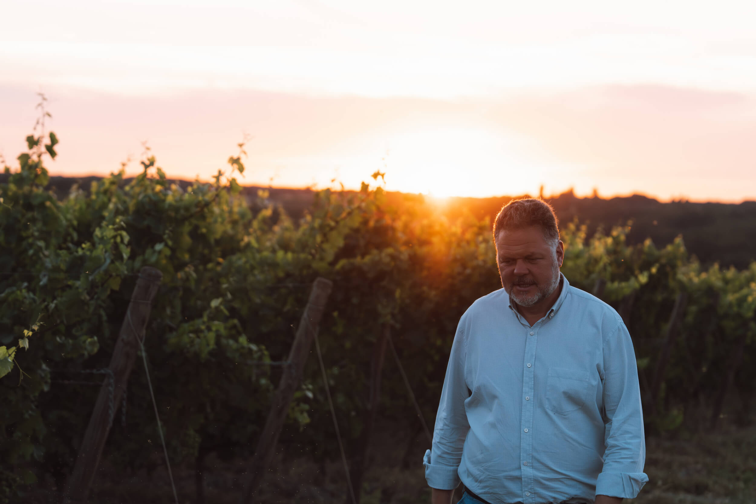 25 avril 2026 – Décès de François-Régis de FOUGEROUX - Domaine Hubert Brochard