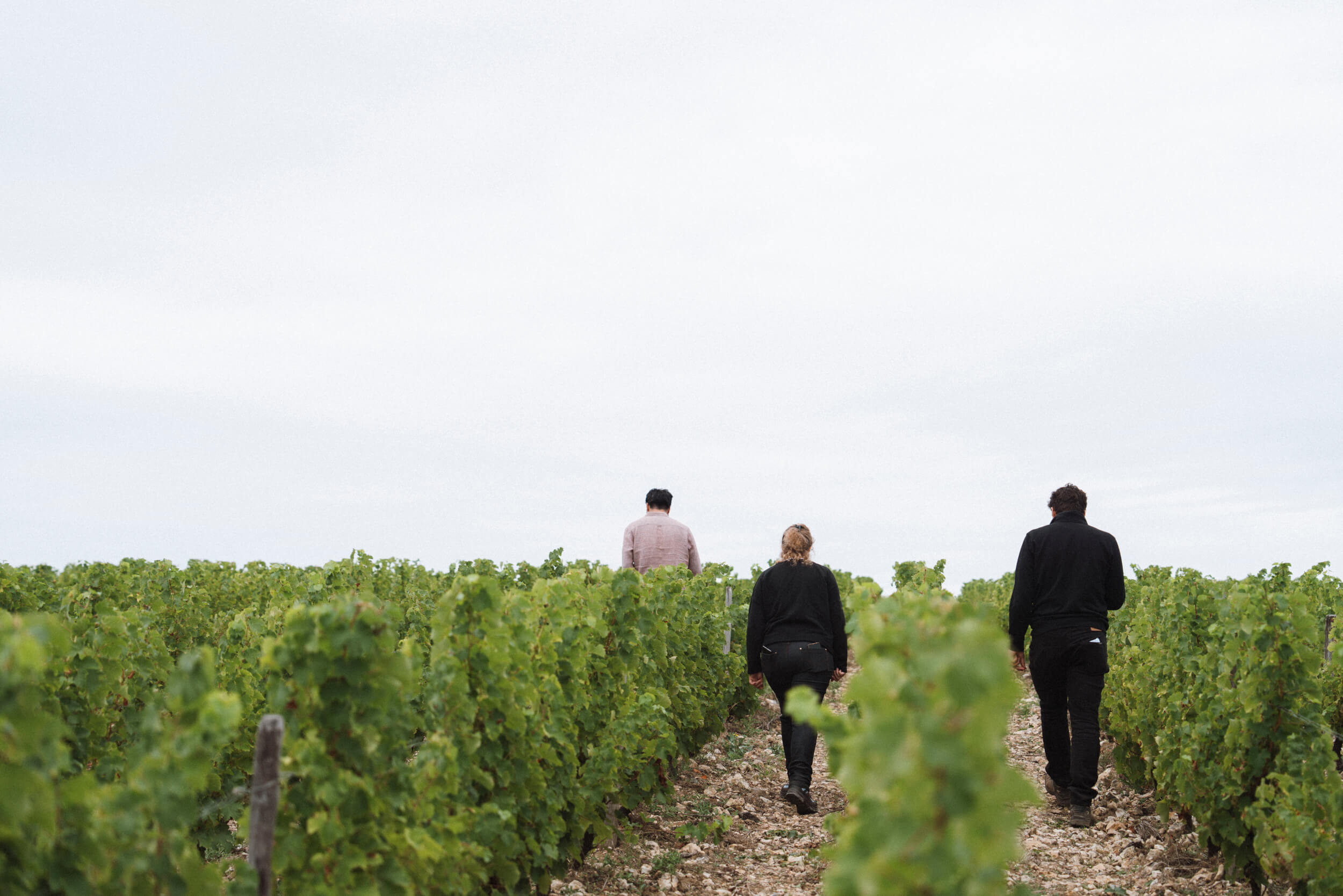 Notre écosystème - Domaine Hubert Brochard